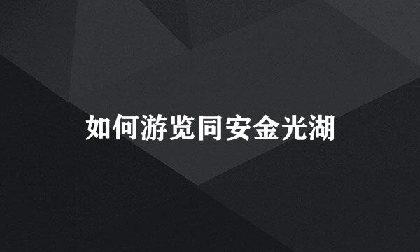如何游览同安金光湖