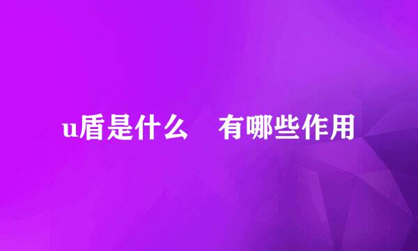 u盾是什么 有哪些作用