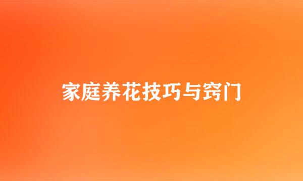 家庭养花技巧与窍门