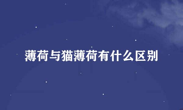 薄荷与猫薄荷有什么区别