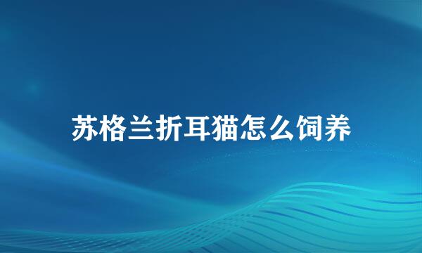 苏格兰折耳猫怎么饲养
