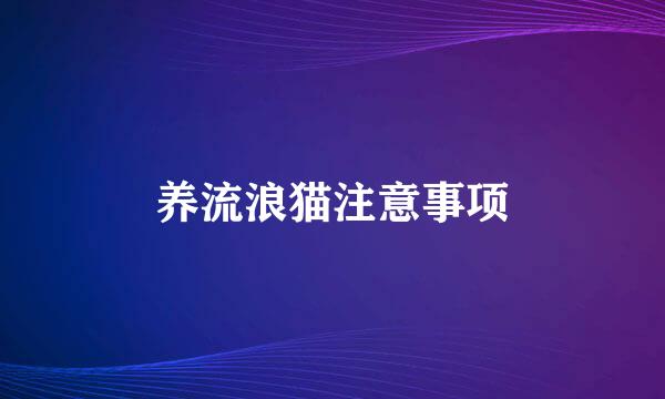 养流浪猫注意事项