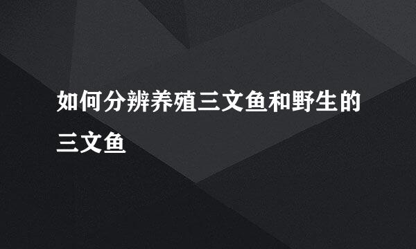 如何分辨养殖三文鱼和野生的三文鱼