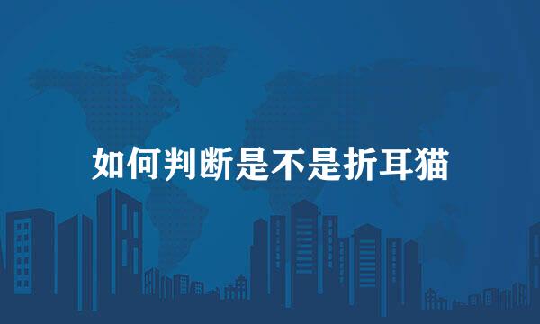 如何判断是不是折耳猫