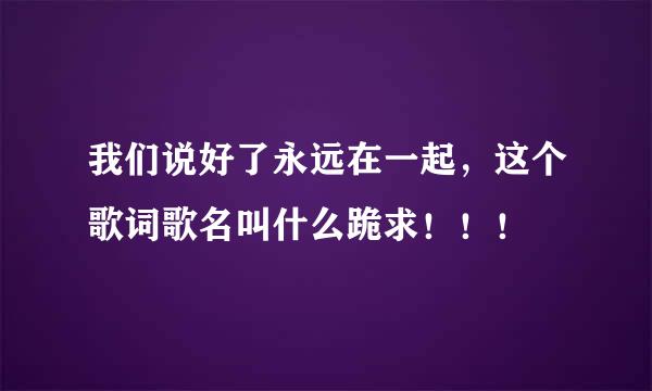 我们说好了永远在一起，这个歌词歌名叫什么跪求！！！