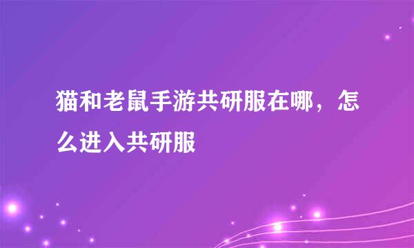 猫和老鼠手游共研服在哪，怎么进入共研服