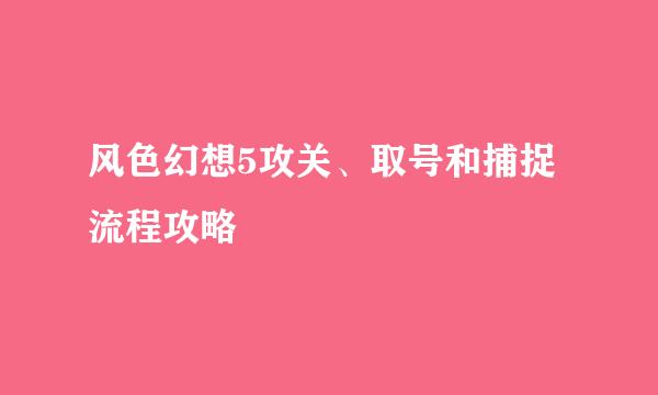 风色幻想5攻关、取号和捕捉流程攻略