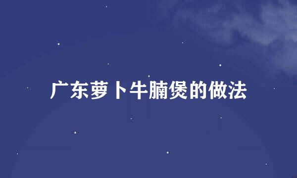广东萝卜牛腩煲的做法
