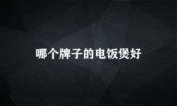哪个牌子的电饭煲好