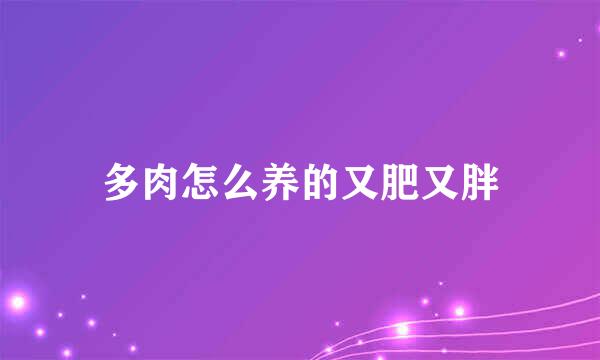 多肉怎么养的又肥又胖
