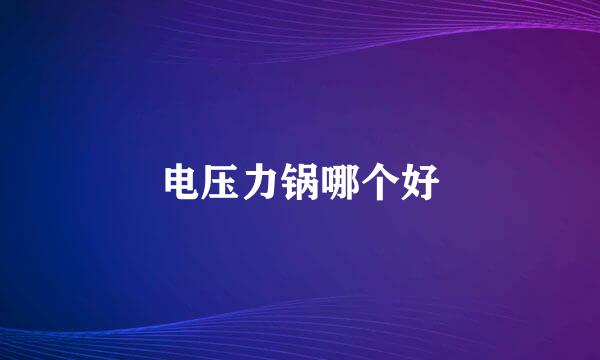 电压力锅哪个好