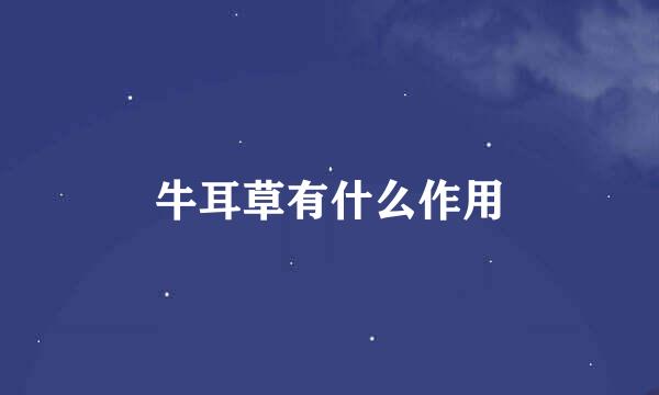 牛耳草有什么作用