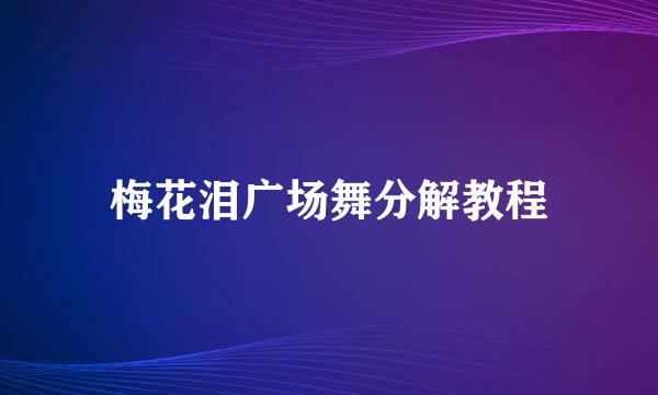 梅花泪广场舞分解教程