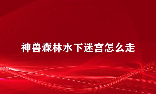 神兽森林水下迷宫怎么走