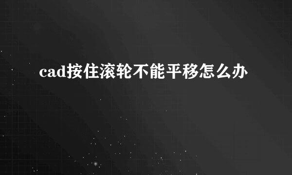 cad按住滚轮不能平移怎么办