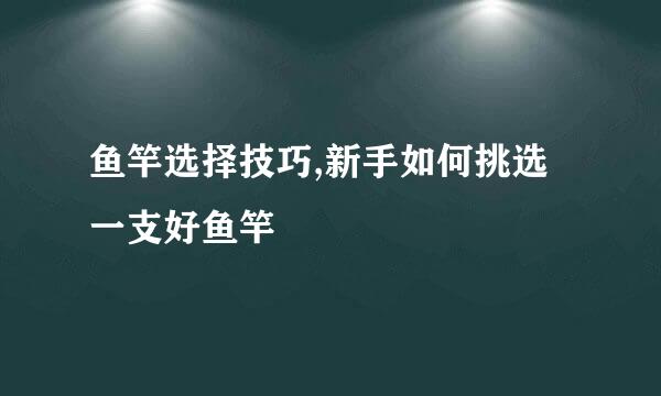 鱼竿选择技巧,新手如何挑选一支好鱼竿