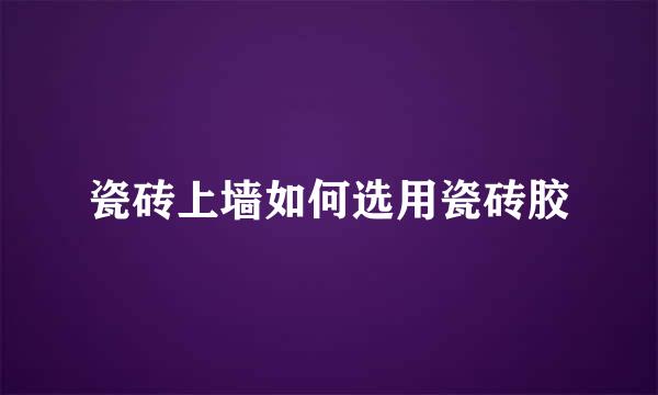 瓷砖上墙如何选用瓷砖胶