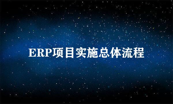 ERP项目实施总体流程