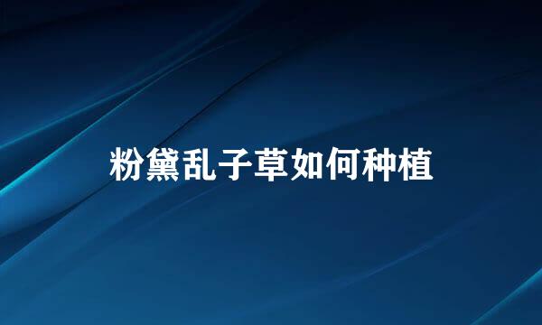 粉黛乱子草如何种植