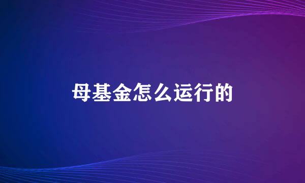 母基金怎么运行的