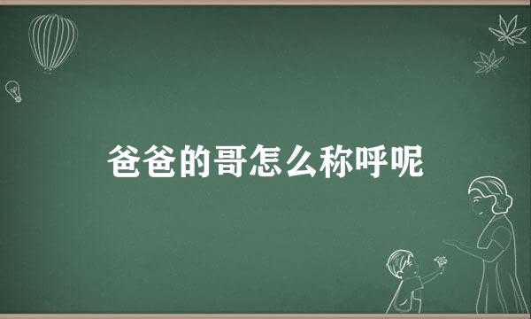 爸爸的哥怎么称呼呢