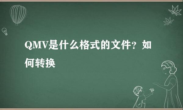 QMV是什么格式的文件？如何转换