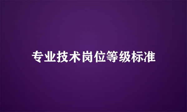 专业技术岗位等级标准