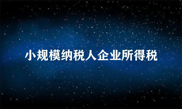 小规模纳税人企业所得税