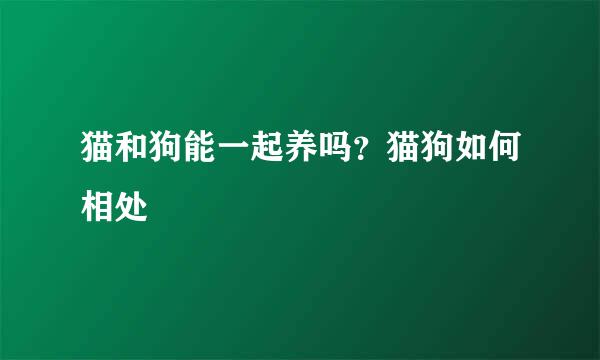 猫和狗能一起养吗？猫狗如何相处