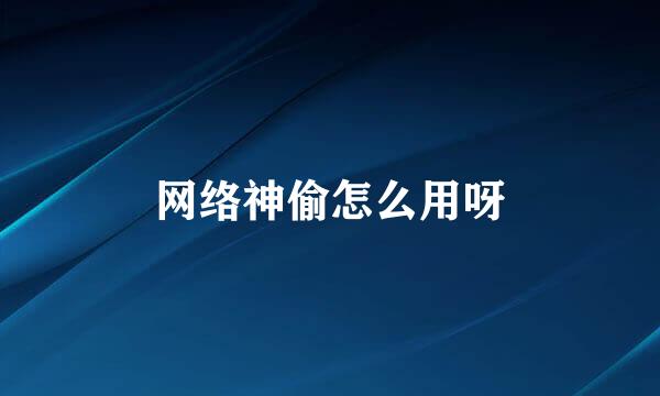 网络神偷怎么用呀
