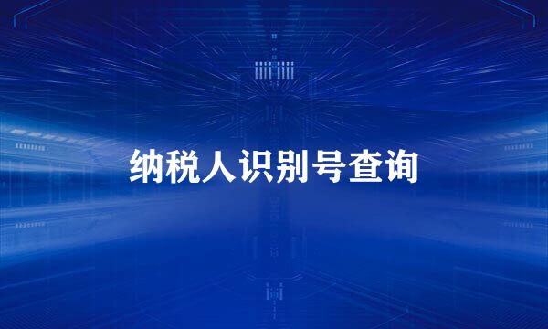 纳税人识别号查询