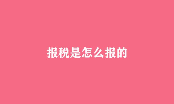 报税是怎么报的