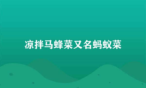 凉拌马蜂菜又名蚂蚁菜