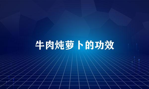 牛肉炖萝卜的功效