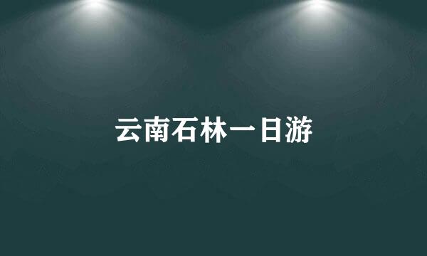 云南石林一日游