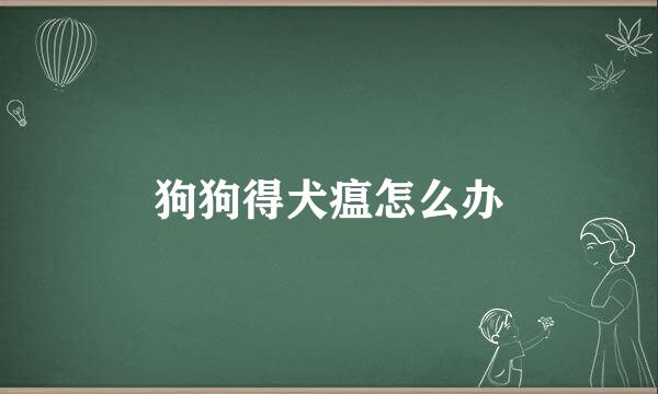 狗狗得犬瘟怎么办