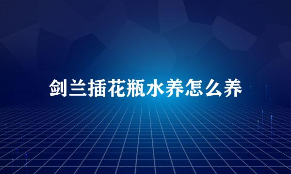 剑兰插花瓶水养怎么养