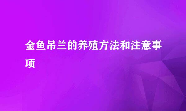 金鱼吊兰的养殖方法和注意事项