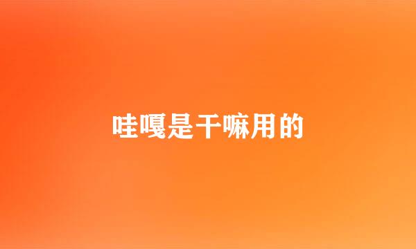 哇嘎是干嘛用的