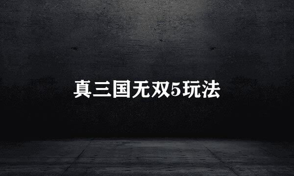 真三国无双5玩法