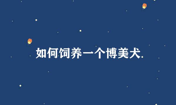 如何饲养一个博美犬