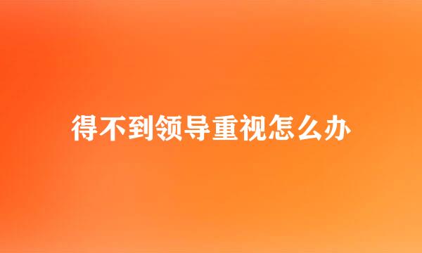 得不到领导重视怎么办
