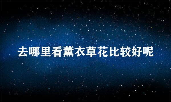 去哪里看薰衣草花比较好呢