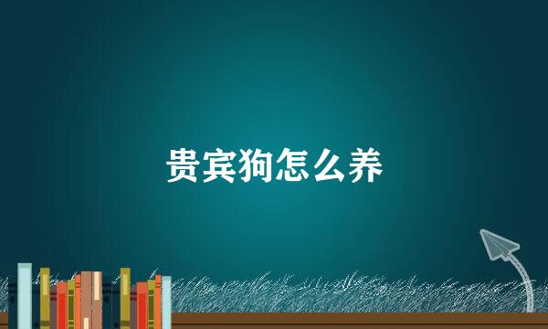 贵宾狗怎么养