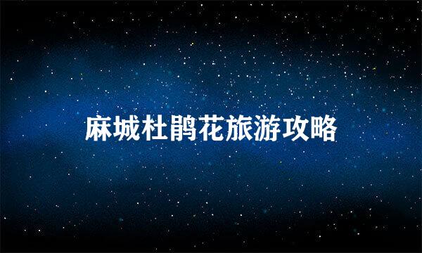 麻城杜鹃花旅游攻略