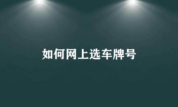 如何网上选车牌号