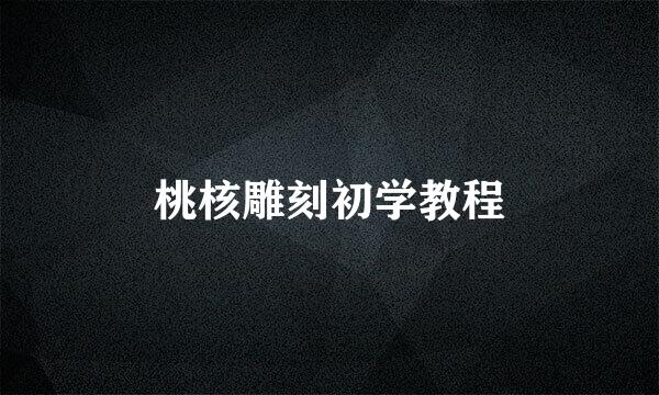 桃核雕刻初学教程