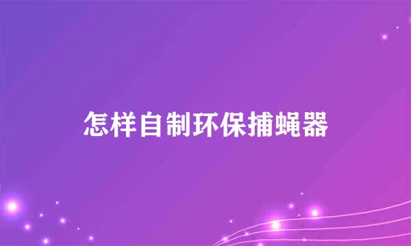 怎样自制环保捕蝇器