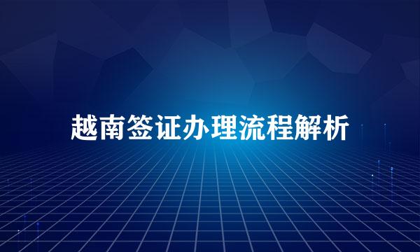 越南签证办理流程解析