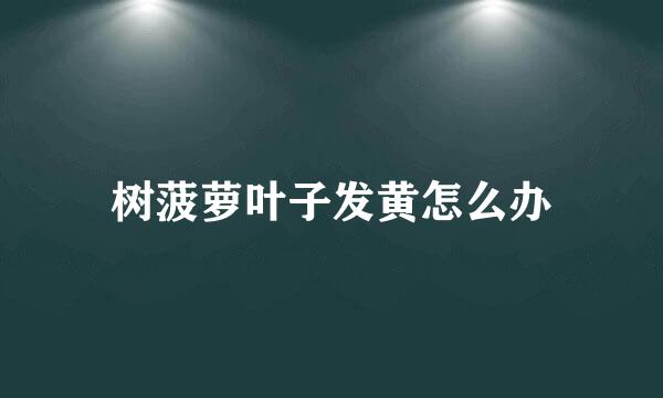树菠萝叶子发黄怎么办